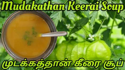 Mudakathan keerai soup in tamil | முடக்கத்தான் கீரை சூப் | Balloon Vine Leaves Soup ...