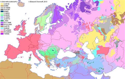 Y-DNA haplogroup distribution map. : r/MapPorn