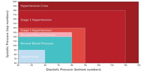 Blood Pressure Chart Blood Pressure Chart Shows Ranges Low Healthy Stock Vector By ©edesignua ...