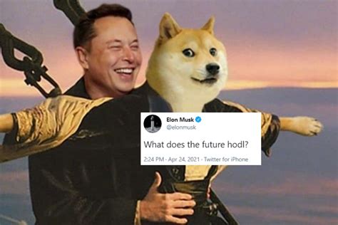 Inspiring Success Story Of Elon Musk Doge | TheWyco