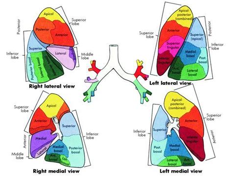 Respiratory Care | Pediatric Surgery NaT