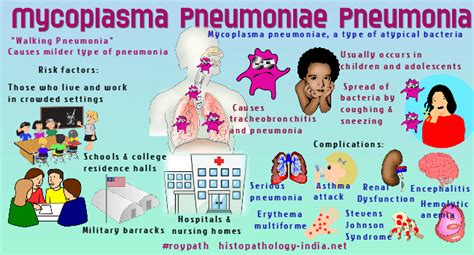 Pneumonia Symptoms In Kids