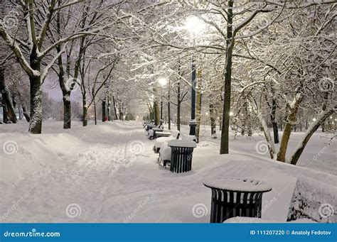 Winter Path in the Park Brought by Snow Stock Photo - Image of covered ...