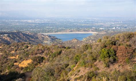 Encino Reservoir Stock Photos, Pictures & Royalty-Free Images - iStock