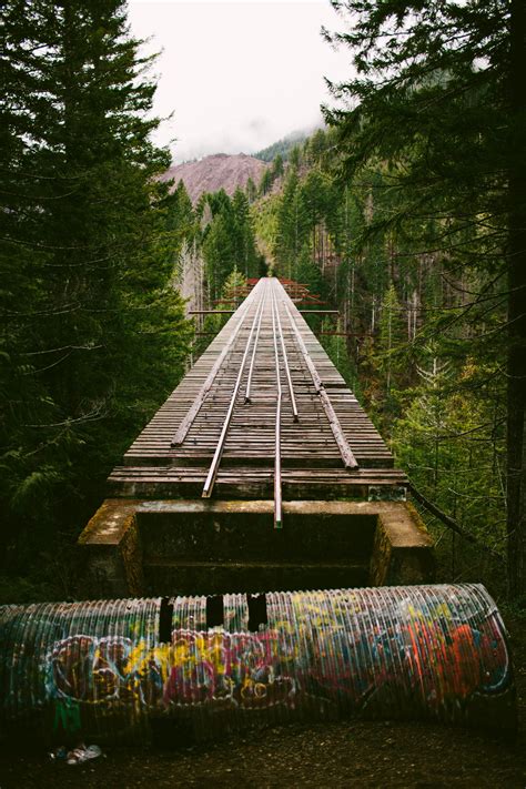 Vance Creek Bridge - Washington Pacific Northwest Adventure in 2020 | Vance creek bridge ...