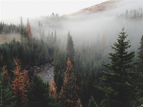 "Foggy Mountain Forest River" by Stocksy Contributor "Kevin Russ" - Stocksy