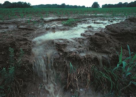 Agriculture | National Climate Assessment