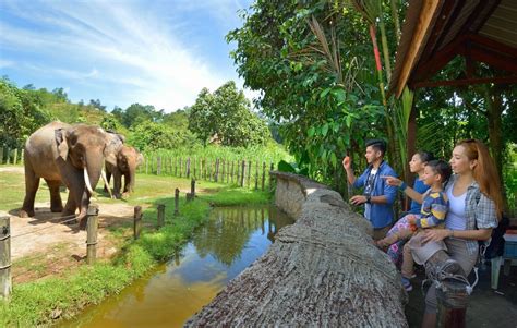 10 Best Zoos & Wildlife Parks In Malaysia That All Animal Lovers Should ...