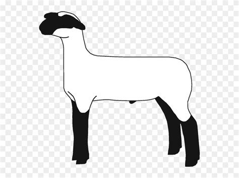 show lamb clip art 10 free Cliparts | Download images on Clipground 2024