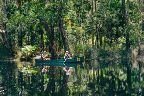 A Complete Guide To Visiting The Noosa Everglades