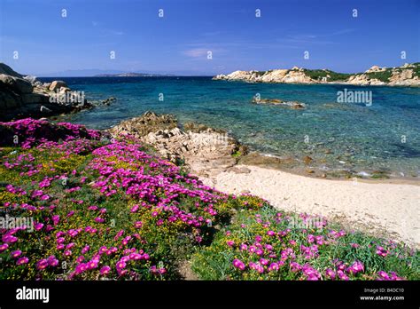 italy, sardinia, arcipelago della maddalena national park, la Stock Photo - Alamy