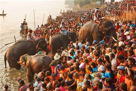 Sonpur Festival Bihar - Shikhar Travels