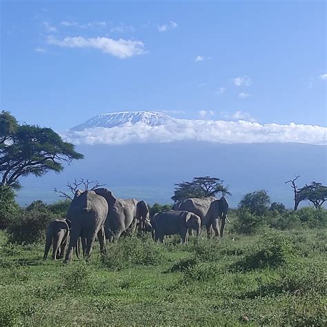 Amboseli