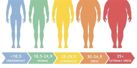 Bmi And Classification Of Obesity - Aljism Blog