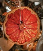 18 BEST DIY Christmas Ornaments | Eco-Friendly DIY Tree Ornaments - PunkMed