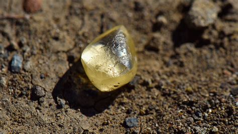 Crater of Diamonds in Arkansas' largest find of the year