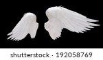 Two Wings Free Stock Photo - Public Domain Pictures