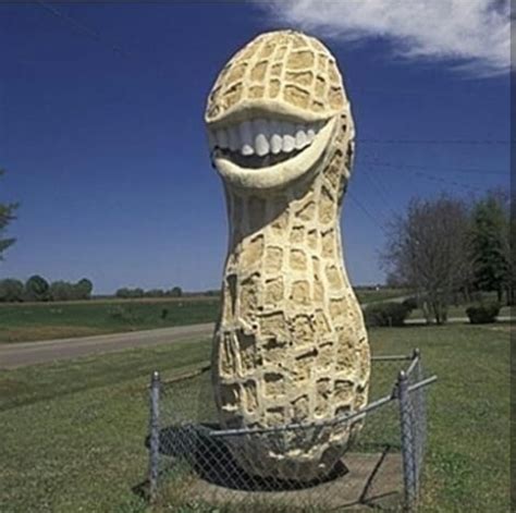 Cursed Peanut : r/Cursed_Images