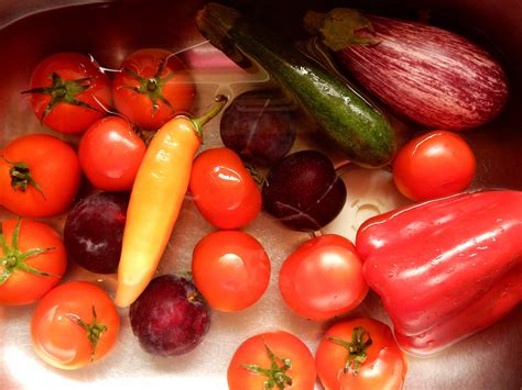 Free picture: bell pepper, tomato, eggplant, cucumber, food, pepper, vegetarian, vegetable