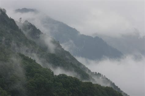 plant, sky, mountains, land, cloud - sky, environment, woodland, lush foliage, tranquil scene ...