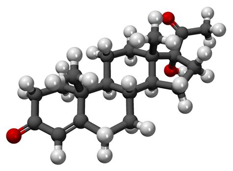 17-Hydroxyprogesterone - wikidoc