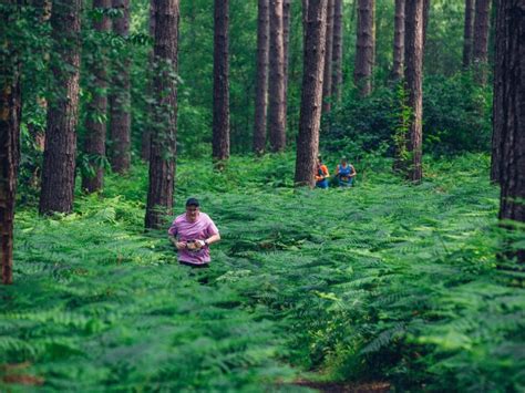 Sherwood Pines Archives » Rasselbock Running