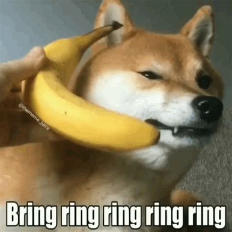 Bring Ring Ring Ring Ring Banana Phone GIF - Bring Ring Ring Ring Ring ...