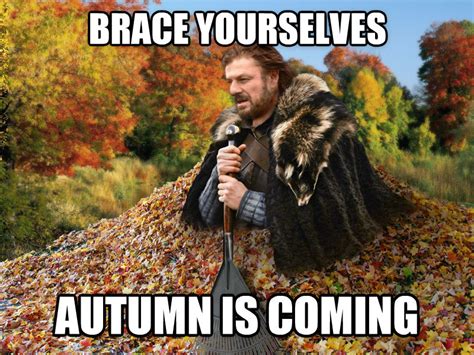 [Image - 612573] | Imminent Ned / Brace Yourselves, Winter is Coming | Know Your Meme