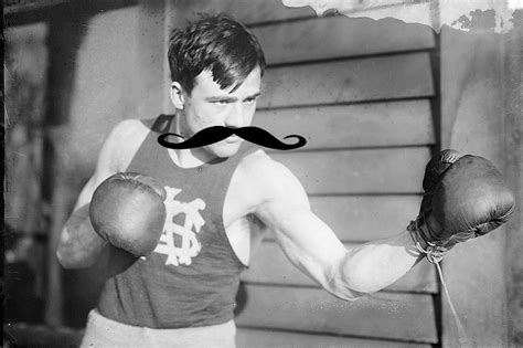 boxer-mustache