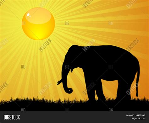 Sunshine Vector Vector & Photo (Free Trial) | Bigstock