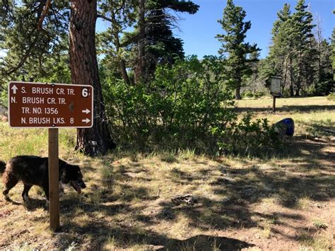 Campsite on Rainbow Trail at N. Brush Trail | Canyon Journeys