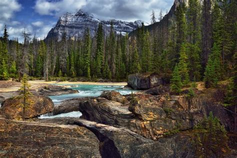 time lapse photography of water falls surrounded by pine trees, yoho ...