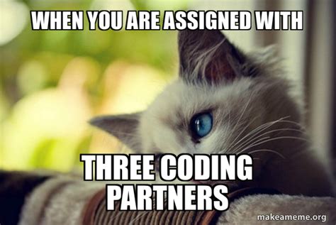 when you are assigned with three coding partners - First World Cat Problems | Make a Meme