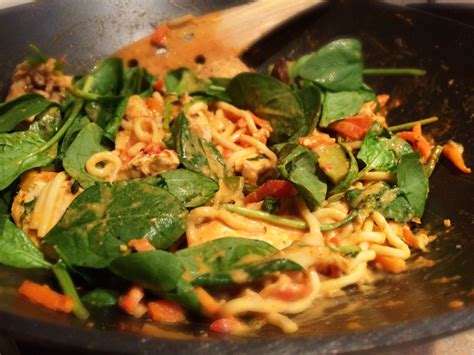 Laksa Style Noodles with Chicken and Vegetable - This Is Cooking for Busy MumsThis Is Cooking ...