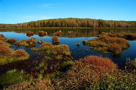 appalachian peat bog | lake next to appalachian peat bog | illinigardner | Flickr