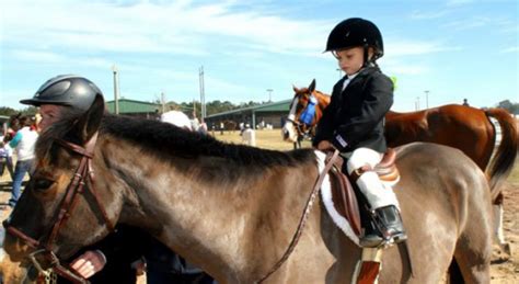 Locals Compete In Horse Show : NorthEscambia.com