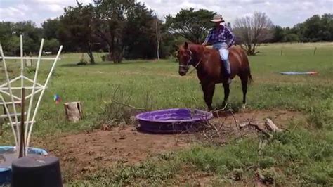 Horse Obstacle Course & Desensitization Clinic Temple, Texas - YouTube