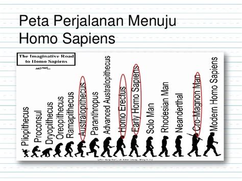 Sejarah Evolusi Manusia – Sinau