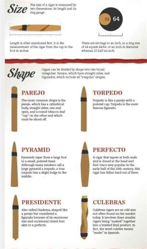 Cigars 101: The Basics on Proper Cigar Etiquette | by Garrett Walker ...