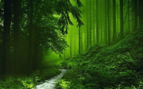 Green Scenery Desktop Wallpapers - Top Free Green Scenery Desktop Backgrounds - WallpaperAccess