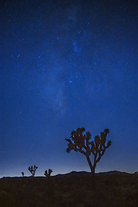 Joshua Tree Natl Park Milky Way Night Sky Fine Art Photo | Photos by ...