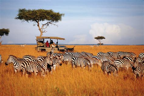 Kenya, Masai Mara Big 5 Safaris and masai culture