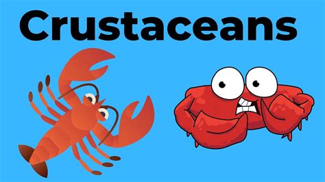 Crustaceans Characteristics