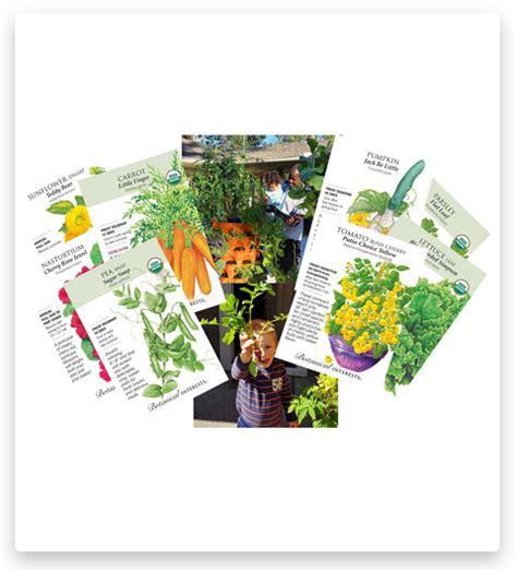 Seeds For Garden Tower 2 Review | Seeds For Garden Tower 2 Buyer's Guide