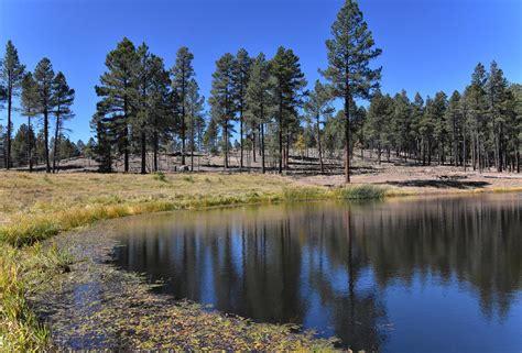 Kaibab National Forest | Flickr