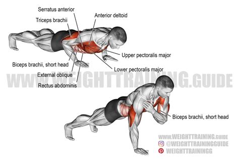 Shoulder tap push-up exercise guide and video | Weight Training Guide