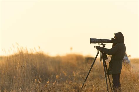 Bird Watching in Wilmington DE | Wildlife Refuges & Trails