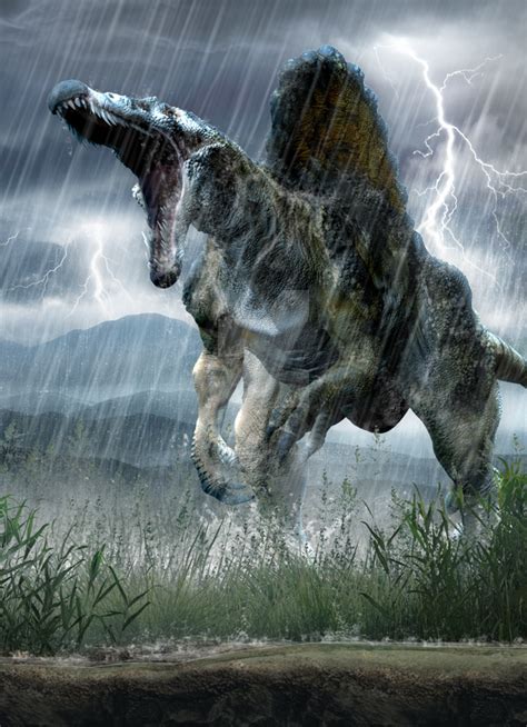 Spinosaurus by Herschel-Hoffmeyer on DeviantArt