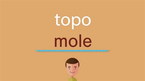 Moles Topo Animal En Ingles / El Reino Animal En Ingles Universal De Idiomas : Sustantivo de ...