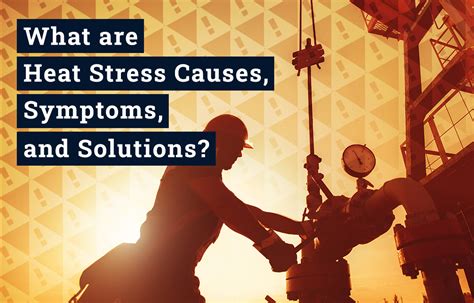 What are Heat Stress Causes, Symptoms, and Solutions? - Tyndale USA